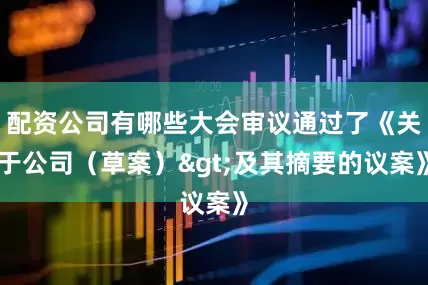 配资公司有哪些大会审议通过了《关于公司（草案）>及其摘要的议案》